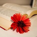 Le langage du Cantique des Cantiques et la voix chez st François de Sales